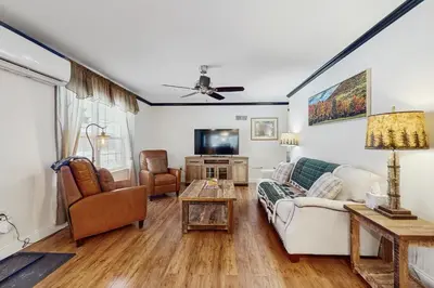 a living room with a couch and a tv at Stargazing Daydreamer in Arlington