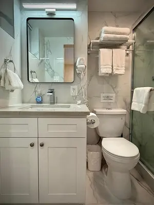 a bathroom with a toilet and a sink and a mirror at Flushing City Escape in Flushing