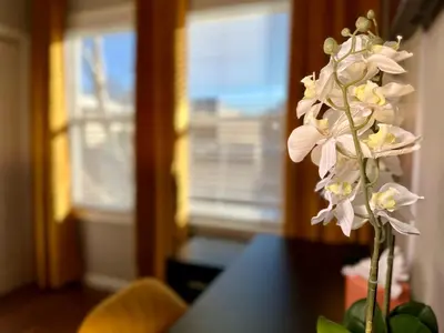 a vase of white flowers sitting on a table at Hotel-Style, No Host, Professionally Managed ID267 in Jersey City