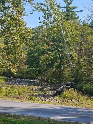 a fallen tree on the side of a road at Charming Countryside Retreat in Fort Plain