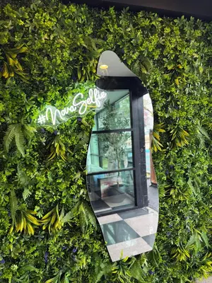a mirror in a ivy covered wall with a phone booth at Nova Hotel Bronx in Melrose