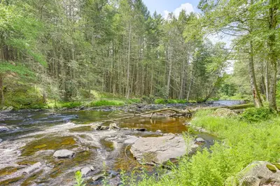 a stream in the middle of a forest at 13 Mi to Ski Big Bear Updated Getaway with Deck in Shohola