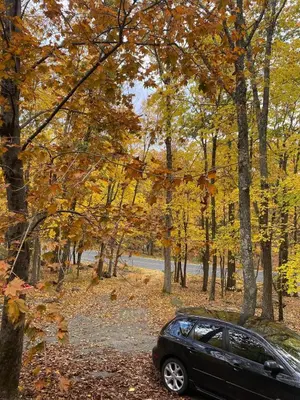 a car parked on a road in the woods at Paradise Uncovered Chalet Near Lake in Hawley