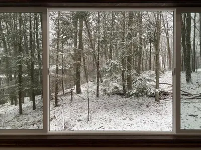 a window with a view of a snow covered forest at Paradise Uncovered Chalet Near Lake in Hawley
