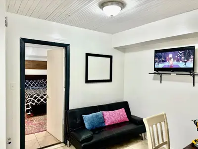 a living room with a black leather couch and a flat screen tv at 2 Bedroom Apt in LIC, Private WITH BACKYARD ! in Roosevelt Island