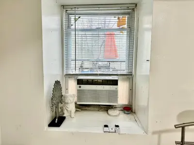 a window with a fan and a cat sitting under it at 2 Bedroom Apt in LIC, Private WITH BACKYARD ! in Roosevelt Island