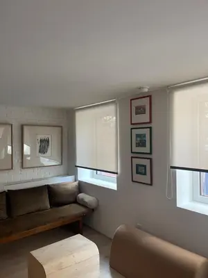 a living room with a couch and two windows at Williamsburg Design Apartment in Brooklyn