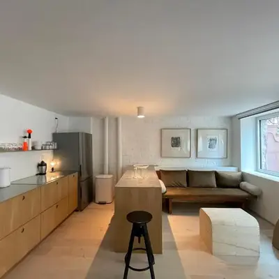 Williamsburg Design Apartment