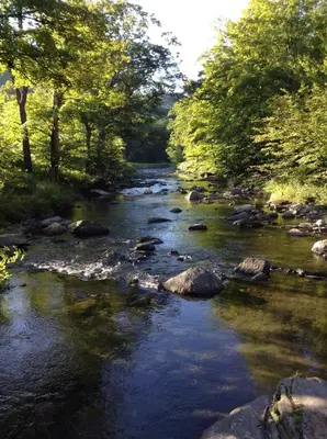 a river with rocks and trees on the side at Green River Cottage in Guilford