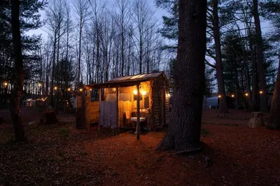 a cabin in the woods at night with a tree at Incredible Spacious Dome for A Group Glamping Experience Surrounded by Nature in Woodridge, New York in Woodridge