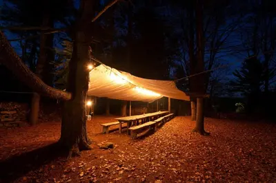 a hammock hanging from a tree in a forest at night at Incredible Spacious Dome for A Group Glamping Experience Surrounded by Nature in Woodridge, New York in Woodridge