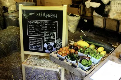 a fruit and vegetable stand with a sign and vegetables at Incredible Spacious Dome for A Group Glamping Experience Surrounded by Nature in Woodridge, New York in Woodridge