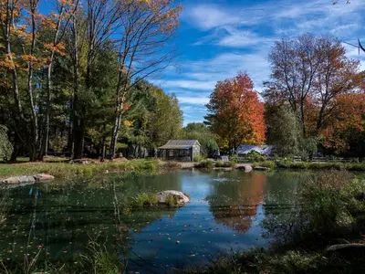 a pond in the middle of a park with trees at Cozy Cottage on a Private Farm Nestled Among the Southern Catskill Mountains in Woodridge, New York in Woodridge