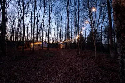 a group of lights in a forest at night at Cozy Unique Dome for a Romantic Glamping Getaway on a Private Farm in Woodridge, New York in Woodridge