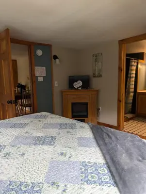 a bedroom with a bed and a fireplace and a television at Logged Inn in Caroga Lake