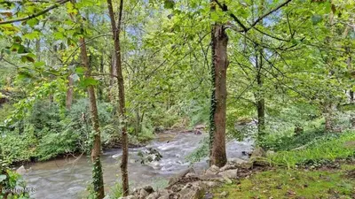 a stream in the middle of a forest with trees at Berkshire Vacation Rentals 1900s Factory Turned Modern Berkshires Retreat in Great Barrington