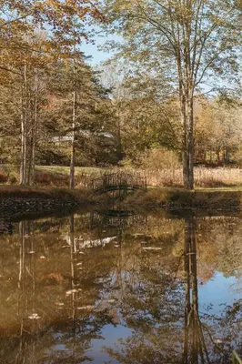a reflection of trees in a body of water at Charming Country Home with Hot Tub, Pond & Creek in New Paltz