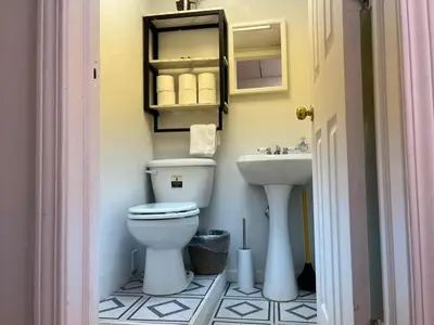 a bathroom with a toilet and a sink at Charming Country Home with Hot Tub, Pond & Creek in New Paltz