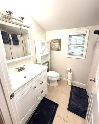 a bathroom with a white sink and a toilet at coastal and cozy beach stay, pet friendly in Milford