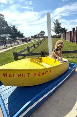 a dog sitting in a small boat on a trailer at coastal and cozy beach stay, pet friendly in Milford