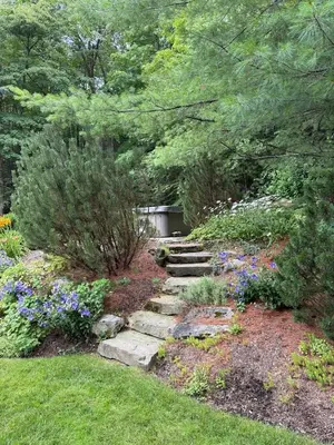 a garden with a path with flowers and plants at Beautiful House in the Woods, Huge Yard, Hot Tub in Great Barrington