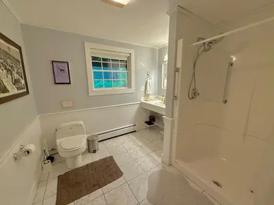 a bathroom with a toilet and a shower and a sink at Beautiful House in the Woods, Huge Yard, Hot Tub in Great Barrington