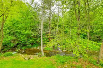 a creek in the middle of a forest with trees at Serene Duplex with On-Site Brook in Callicoon Center in Roscoe