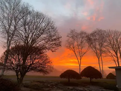 a group of trees with a sunset in the background at Longpond Farm House and Loft in Salisbury