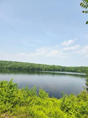 a view of a lake with trees in the background at NEW 