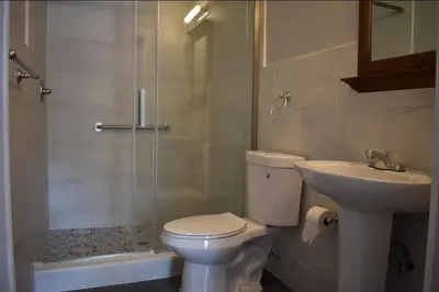 a bathroom with a toilet and a shower and a sink at Tannersville Village Rooms on Saw Mill Creek in Tannersville