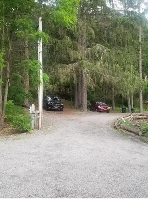 a driveway with two cars parked in a forest at Cute Cozy Cottage Glenford New York in Glenford