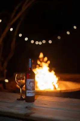 a bottle of wine next to a wine glass at Mountain Cabin 20mins to Hunter Mt, hiking trails-3bds & 3baths in Catskill