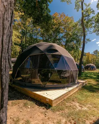 a iguana tent sitting in a field next to a tree at Cozy Mountain Dome Escape in the Catskills in Gilboa