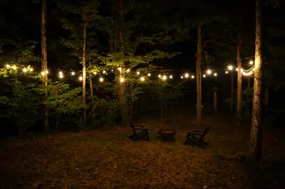 a string of lights in a forest at night at Waterfront Durham Getaway with Deck and Trails! in East Durham