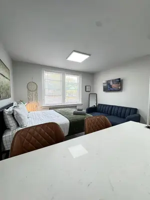 a living room with a bed and a couch at Yale Casa Baya in New Haven