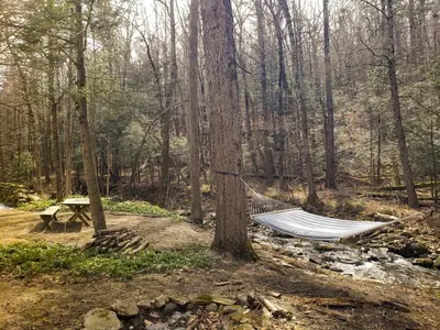 a hammock hanging from a tree in the woods at Gunn Brook Mountain House in Cornwall