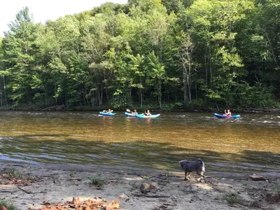 people in kayaks on a river with a dog in front at Riverbend Berkshire East Basecamp in Charlemont