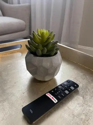 a remote control next to a potted plant on a table at MODERN 1BR Apt with PRIVATE deck in Albany
