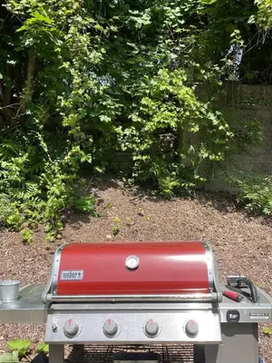 a red grill sitting on top of a field at MODERN 1BR GREAT Location Downtown Parking in Albany