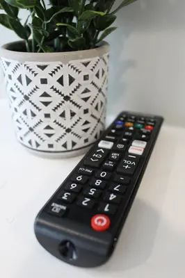 a remote control sitting next to a potted plant at MODERN 1BR GREAT Location Downtown Parking in Albany