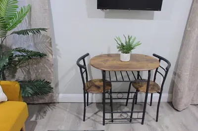 a small table with two chairs and a plant on it at 2 BEDROOM 1 BATH TRENDY Apt Downtown Albany in Albany