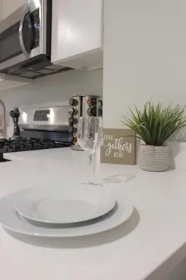 a white plate on a counter with a wine glass at Beautiful 2 BED 2 BATH Soaker Tub in Albany