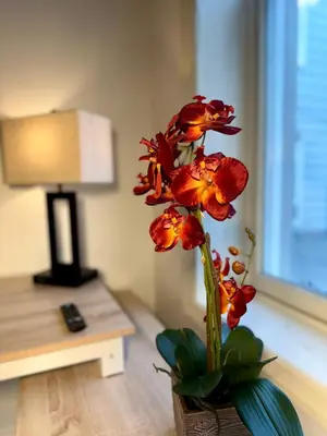 a vase with a red flower in a room at BP STAYS - Hotel-Style, No Host, Professionally Managed ID302 in Jersey City