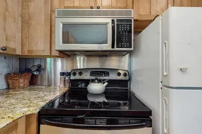 a kitchen with a stove and a microwave at Ahmeek Retreat in Dover