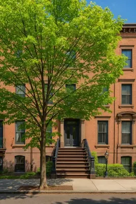 a tree in front of a building with stairs at Perfect Downtown Stay Yale Walk Sallys Apizza in New Haven