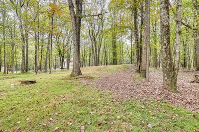 a forest with trees and a bench in the grass at Long Pond Log Cabin with Hot Tub Soaks and Outdoor Fun in Long Pond