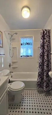 a bathroom with a toilet and a shower curtain at Views, Pines & Perfect Vibes in Middleburgh