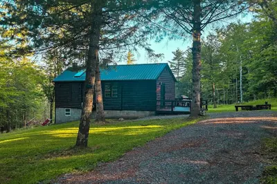 a cabin in the woods with a bench and trees at Views, Pines & Perfect Vibes in Middleburgh