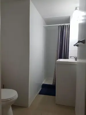 a bathroom with a toilet and a sink and a shower at Roslyn Room 1 Private Bathroom in Roslyn
