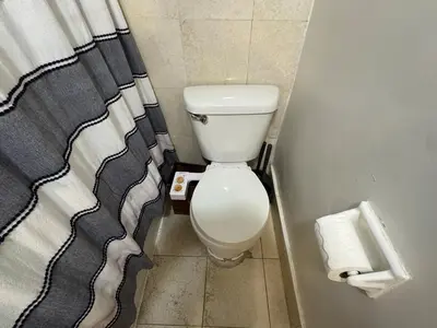 a bathroom with a toilet and a shower curtain at West Village Apartment Rent 30 days or more in New York